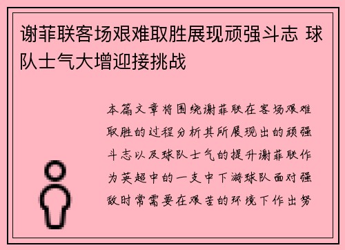谢菲联客场艰难取胜展现顽强斗志 球队士气大增迎接挑战