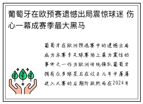 葡萄牙在欧预赛遗憾出局震惊球迷 伤心一幕成赛季最大黑马